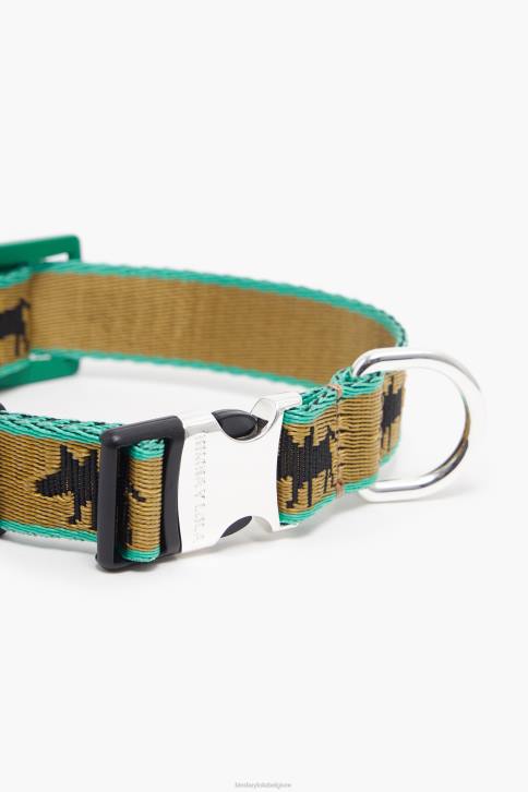 logo halsband voor huisdieren Bimba Y Lola khaki accessoires 4HDL968
